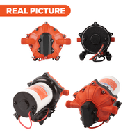 SEAFLO 70PSI Deck Washdown Pump Kit for Boat Caravan Yacht Wash Pump 12V 5GPM Home & Garden Kings Warehouse