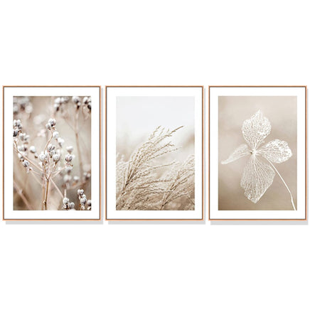 40cmx60cm Dried Flower 3 Sets Wood Frame Canvas Wall Art Kings Warehouse