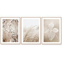 60cmx90cm Dried Flower 3 Sets Wood Frame Canvas Wall Art Kings Warehouse