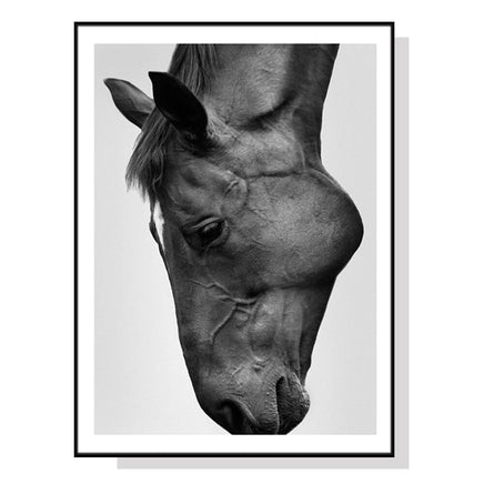 60cmx90cm Modern Black Horse Black Frame Canvas Wall Art Kings Warehouse