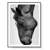 70cmx100cm Modern Black Horse Black Frame Canvas Wall Art Kings Warehouse