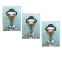 Set of 3 Zoo Portraits Microfiber Tea Towels Ostrich 67 x 45 cm
