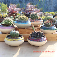 4/5/6 Pots Set Ceramic Clay Pottery Pots Succulent Flower Planter Draining Hole(Style 06# 6 Pots Set)