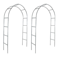 Garden Arch 2 pcs Climbing Plants Kings Warehouse