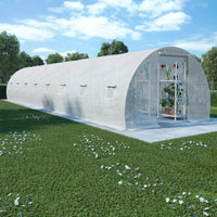 Greenhouse with Steel Foundation 36m? 12x3x2 meters