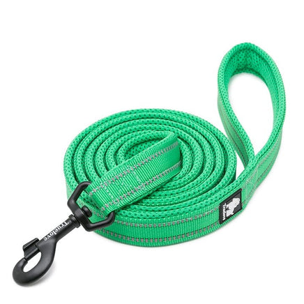 Reflective Pet Leash 2 meters Green L Kings Warehouse