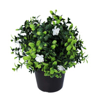Small Potted Artificial Flowering Boxwood Plant UV Resistant 20cm New Arrivals Kings Warehouse