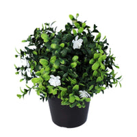 Small Potted Artificial Flowering Boxwood Plant UV Resistant 20cm New Arrivals Kings Warehouse