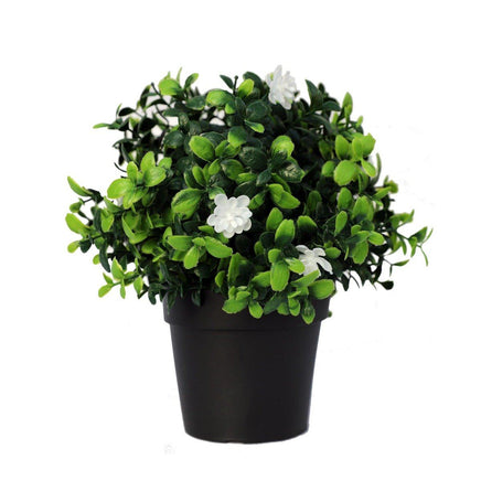 Small Potted Artificial Flowering Boxwood Plant UV Resistant 20cm New Arrivals Kings Warehouse