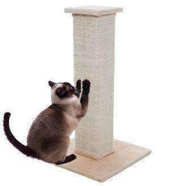 Cat Supplies