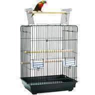 Other Pet Supplies