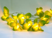 1 Set of 20 LED Green Frangipani Flower Battery String Lights Christmas Gift Home Wedding Party Decoration Outdoor Table Garland Wreath Kings Warehouse 