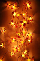 1 Set of 20 LED Orange Frangipani Flower Battery String Lights Christmas Gift Home Wedding Party Decoration Outdoor Table Garland Wreath Kings Warehouse 