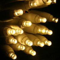 1 Set of 20 LED Plain Warm White Bulb Battery Powered String Lights Christmas Gift Home Wedding Party Bedroom Decoration Table Centrepiece Kings Warehouse 