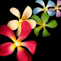 1 Set of 20 LED Tropical Bright Colous Frangipani Flower Battery String Lights Christmas Gift Home Wedding Party Decoration Outdoor Table Centrepiece Kings Warehouse 