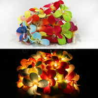 1 Set of 20 LED Tropical Bright Colous Frangipani Flower Battery String Lights Christmas Gift Home Wedding Party Decoration Outdoor Table Centrepiece Kings Warehouse 