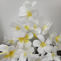 1 Set of 20 LED White Frangipani Flower Battery String Lights Christmas Gift Home Wedding Beach Party Decoration Outdoor Table Centrepiece Kings Warehouse 