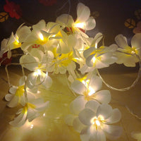 1 Set of 20 LED White Frangipani Flower Battery String Lights Christmas Gift Home Wedding Beach Party Decoration Outdoor Table Centrepiece Kings Warehouse 