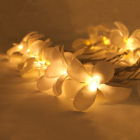 1 Set of 20 LED White Frangipani Flower Battery String Lights Christmas Gift Home Wedding Beach Party Decoration Outdoor Table Centrepiece Kings Warehouse 