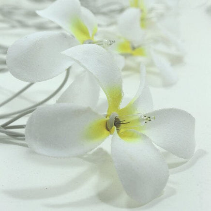 1 Set of 20 LED White Frangipani Flower Battery String Lights Christmas Gift Home Wedding Beach Party Decoration Outdoor Table Centrepiece Occasions Kings Warehouse 