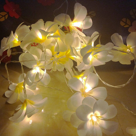 1 Set of 20 LED White Frangipani Flower Battery String Lights Christmas Gift Home Wedding Beach Party Decoration Outdoor Table Centrepiece Occasions Kings Warehouse 