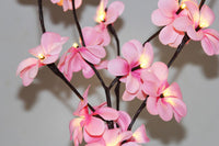 1 Set of 50cm H 20 LED Pink Frangipani Tree Branch Stem Fairy Light Wedding Event Party Function Table Vase Centrepiece Decoration Girl Bedroom Kings Warehouse 