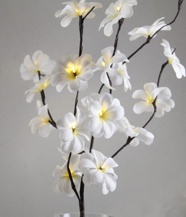 1 Set of 50cm H 20 LED White Frangipani Tree Branch Stem Fairy Light Wedding Event Party Function Table Vase Centrepiece Decoration Kings Warehouse 