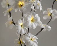 1 Set of 50cm H 20 LED White Frangipani Tree Branch Stem Fairy Light Wedding Event Party Function Table Vase Centrepiece Decoration Kings Warehouse 