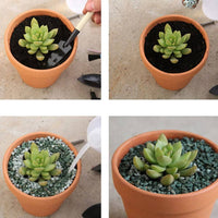 10x 6cm Flower Pot Pots Clay Ceramic Plant Drain Hole Succulent Cactus Nursery Planter Kings Warehouse 