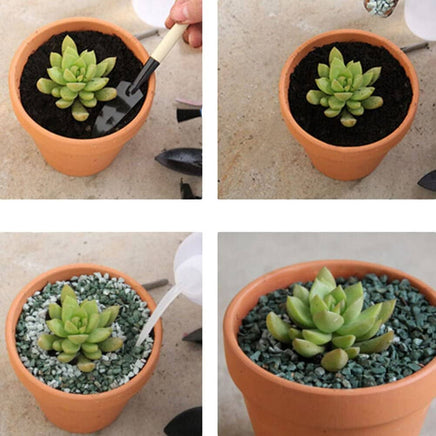 10x 6cm Flower Pot Pots Clay Ceramic Plant Drain Hole Succulent Cactus Nursery Planter Kings Warehouse 