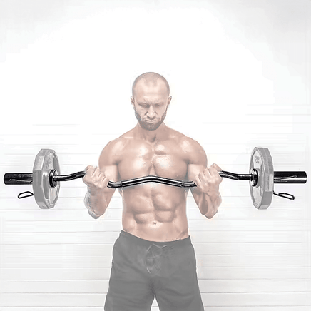 120cm Chrome Olympic EZ Curl Bar – Weightlifting Barbell for Home Gym Training Sports & Fitness Kings Warehouse 