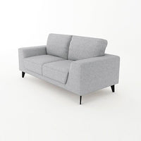 2 Seater Sofa Light Grey Fabric Lounge Set for Living Room Couch with Solid Wooden Frame Black Legs Furniture Kings Warehouse 