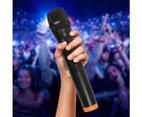 2 x Wireless Microphone Handheld Cordless Professional Mic Karaoke Receiver Kings Warehouse 