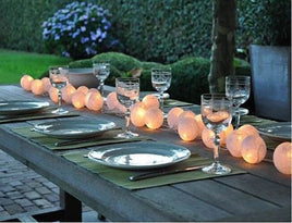 20 White 5cm Ball battery string LED - wedding party home event decoration Kings Warehouse 