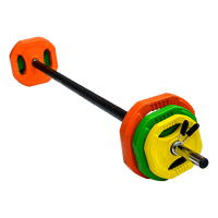 20kg Standard Rubber Coloured Barbell Sports & Fitness Kings Warehouse 