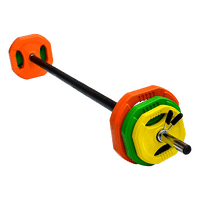 20kg Standard Rubber Coloured Barbell