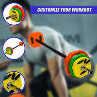 20kg Standard Rubber Coloured Barbell Sports & Fitness Kings Warehouse 