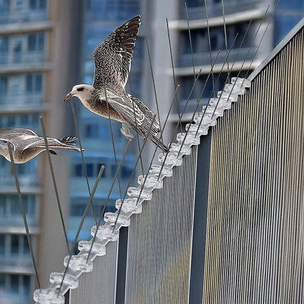 20x 50cm Bird Spike S304 wire Spikes Eaves Pigeon Gull Starling 10M Home & Garden Kings Warehouse 