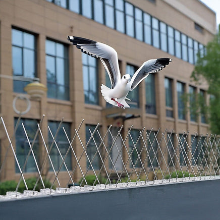 20x 50cm Bird Spike S304 wire Spikes Eaves Pigeon Gull Starling 10M Home & Garden Kings Warehouse 