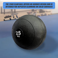 25kg Slam Ball No Bounce Crossfit Fitness MMA Boxing BootCamp Sports & Fitness Kings Warehouse 