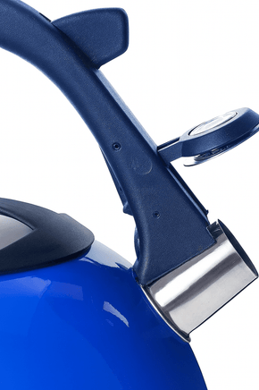 2.6L Stainless Steel Whistling Kettle blue Appliances Kings Warehouse 
