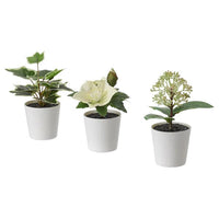 3 Pack of Artificial Potted Plants in White Plastic 6cm Pot Interior Decoration Kings Warehouse 