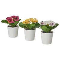 3 Pack of Artificial Spring Bright Colours Potted Plants in White Plastic 6cm Pot Interior Decoration Kings Warehouse 