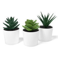3 Pack of Artificial Succulent Potted Plants in White Plastic 6cm Pot Interior Decoration Kings Warehouse 