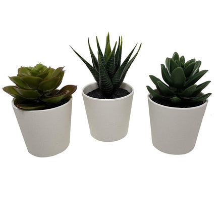3 Pack of Artificial Succulent Potted Plants in White Plastic 6cm Pot Interior Decoration Kings Warehouse 