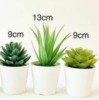 3 Pack of Artificial Succulent Potted Plants in White Plastic 6cm Pot Interior Decoration Kings Warehouse 