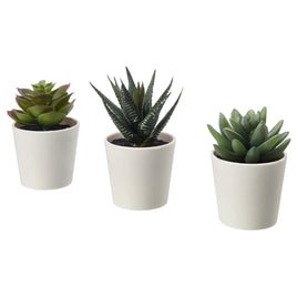 3 Pack of Artificial Succulent Potted Plants in White Plastic 6cm Pot Interior Decoration Kings Warehouse