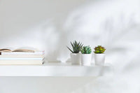 3 Pack of Artificial Succulent Potted Plants in White Plastic 6cm Pot Interior Decoration Kings Warehouse 