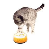300ml Cat Bowl Orange Love - AFP Kitten Pet Food Water Feeding Anti Slip Dish Home & Garden Kings Warehouse 