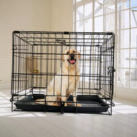 36" Pet Dog Cage Kennel Metal Crate Enlarged Thickened Reinforced Pet Dog House Kings Warehouse 